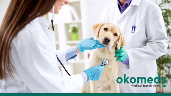 veterinary translation